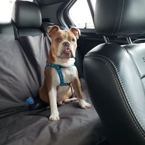 Meet your Posher, Taylor